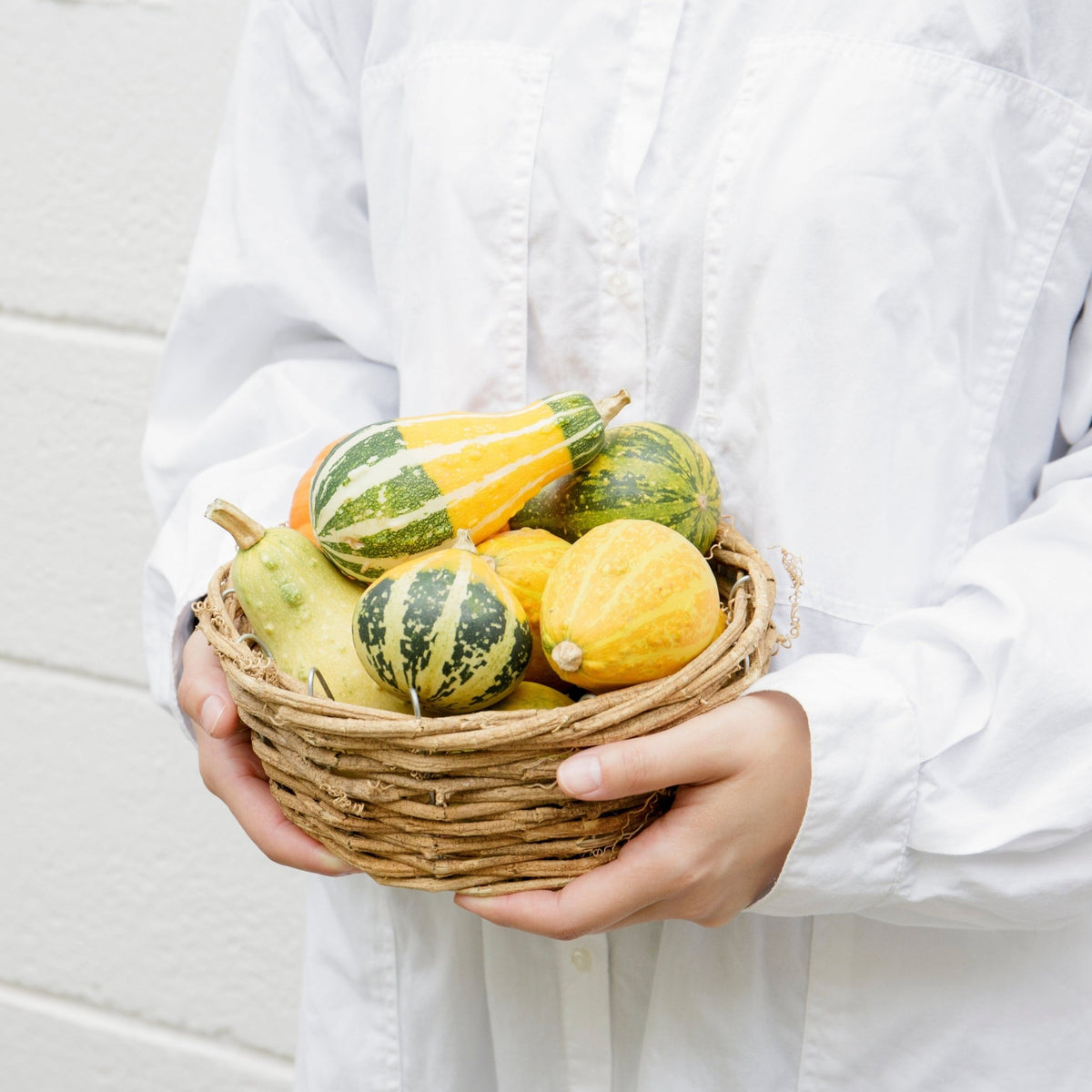 かぼちゃのバスケットをオーダーするならFlower&amp;Plants tette │ 「手から手へ、想いを運ぶフラワーショップ」【板橋駅徒歩4分】【熟練フローリスト夫婦が運営】【最短2営業日で発送】【24時間365日注文OK】【ギフトは3300円〜】フラワーギフトを手から手へ、想いを込めたブーケやアレンジメントで大切な人に感謝と愛情を。シーンや用途に合わせて選びやすい豊富な種