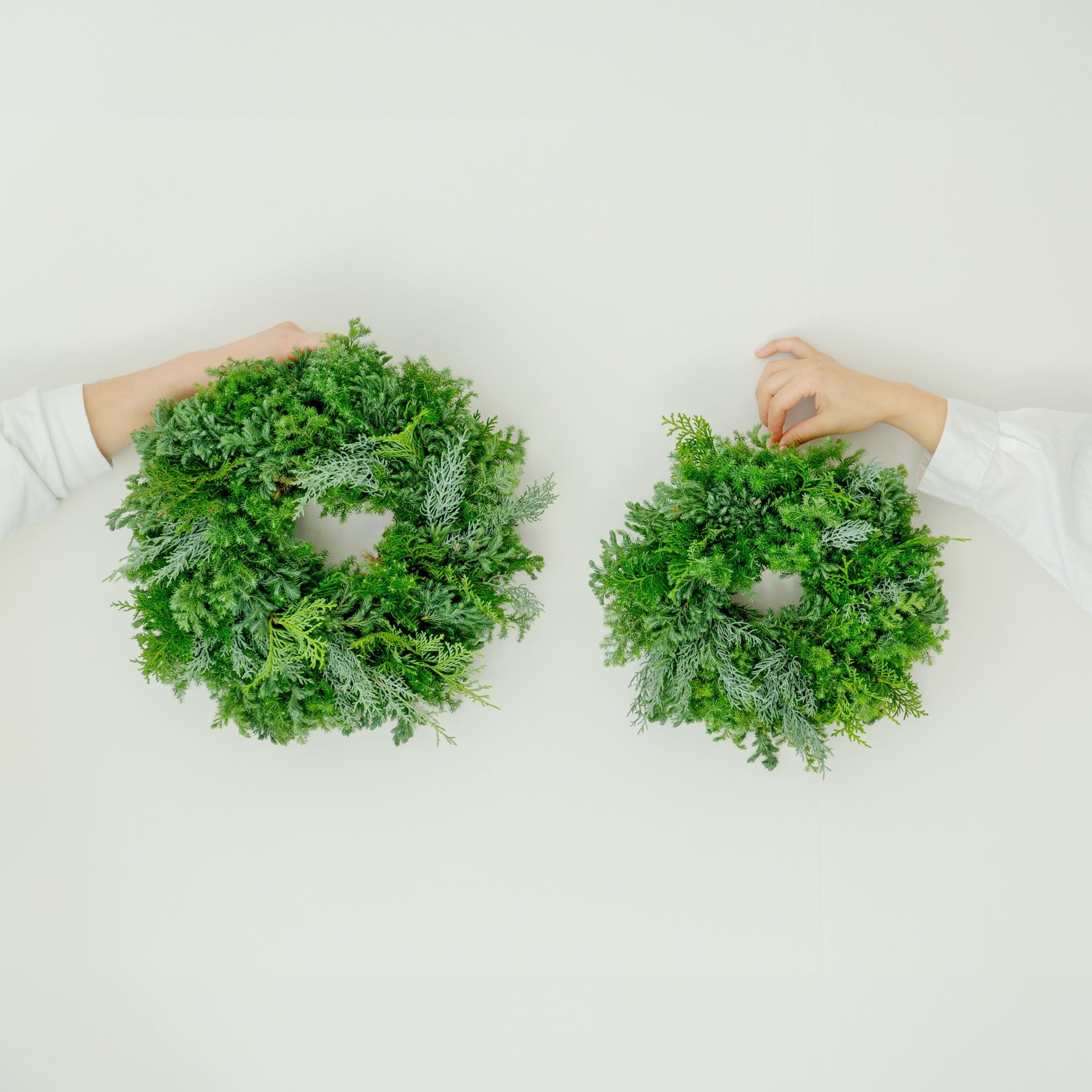 クリスマスリース(グリーン)をオーダーするならFlower&amp;Plants tette │ 「手から手へ、想いを運ぶフラワーショップ」【板橋駅徒歩4分】【熟練フローリスト夫婦が運営】【最短2営業日で発送】【24時間365日注文OK】【ギフトは3300円〜】フラワーギフトを手から手へ、想いを込めたブーケやアレンジメントで大切な人に感謝と愛情を。シーンや用途に合わせて選びやすい豊富な種