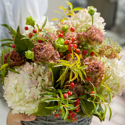 秋色アジサイのギフトをオーダーするならFlower&amp;Plants tette │ 「手から手へ、想いを運ぶフラワーショップ」【板橋駅徒歩4分】【熟練フローリスト夫婦が運営】【最短2営業日で発送】【24時間365日注文OK】【ギフトは3300円〜】フラワーギフトを手から手へ、想いを込めたブーケやアレンジメントで大切な人に感謝と愛情を。シーンや用途に合わせて選びやすい豊富な種